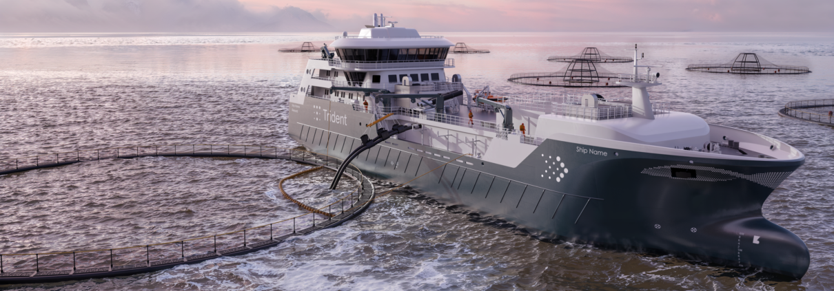 Illustration by Salt Ship Design