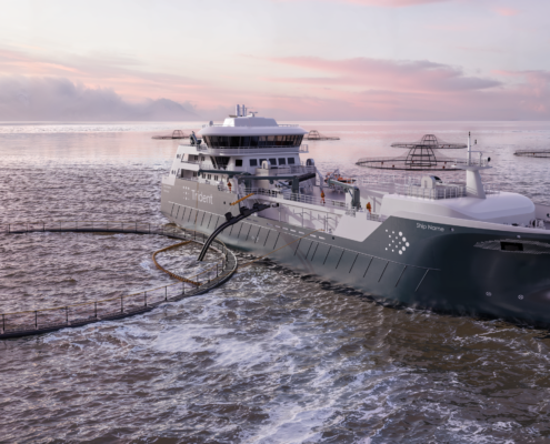 Illustration by Salt Ship Design